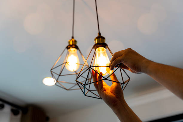 Best Outdoor Lighting Installation  in Rochester, WA